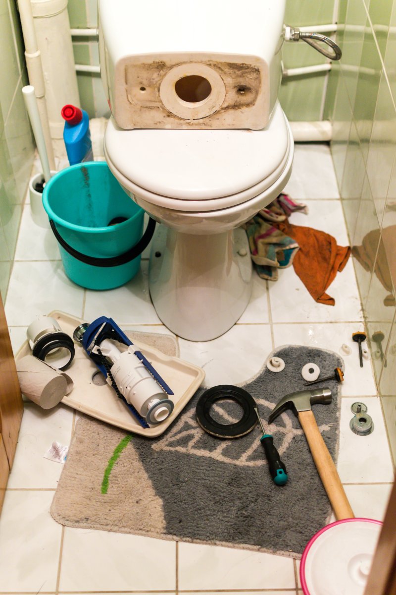 New toilet being installed in a Camden Town bathroom